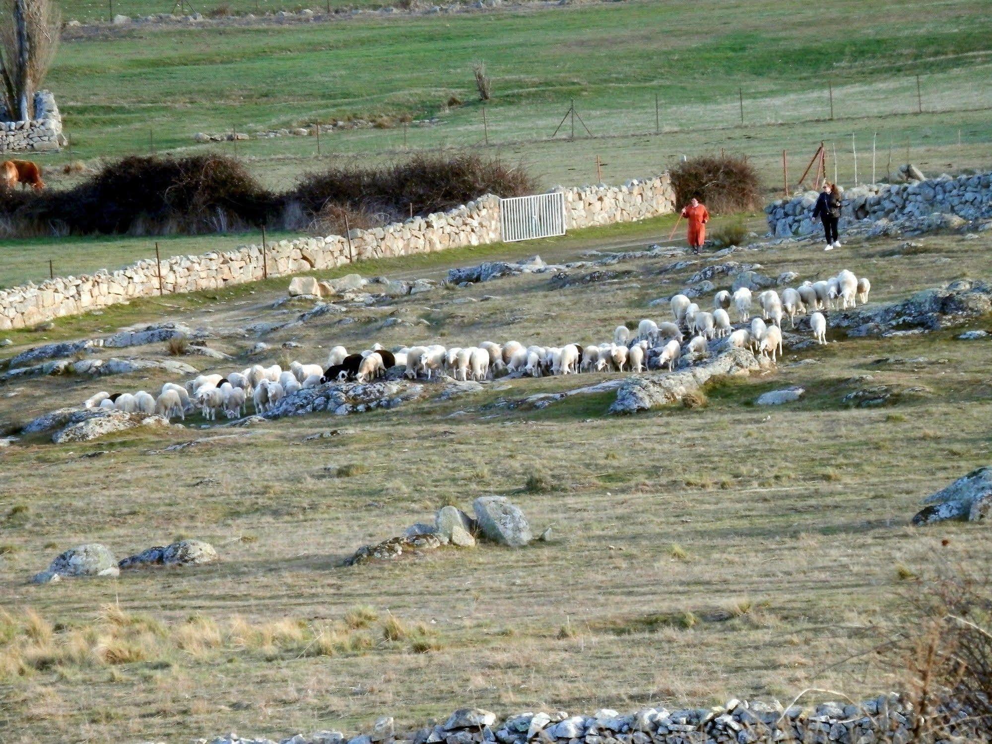 Casa Rural El Dolmen Bernuy-Salinero Eksteriør bilde